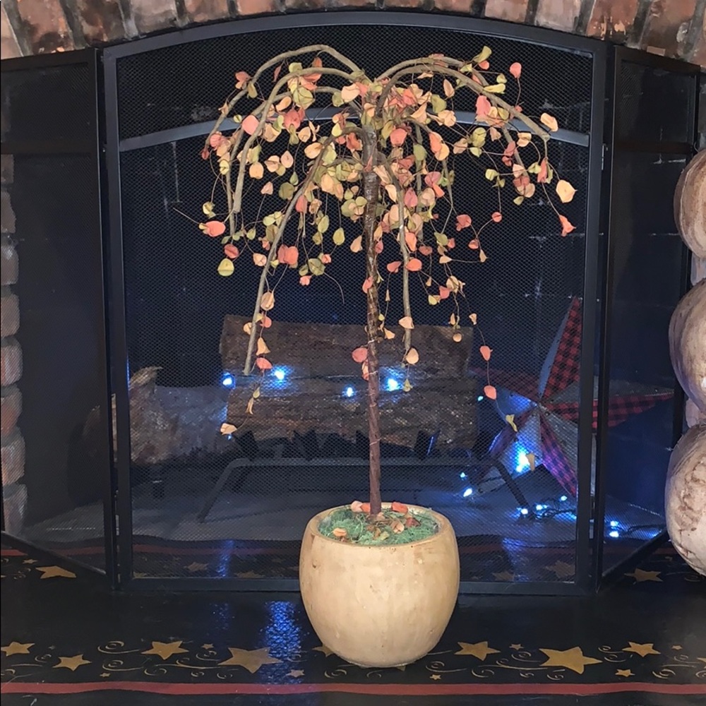 Weeping tree (Willow)